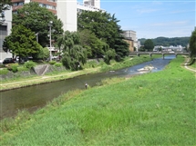 市内を流れる川